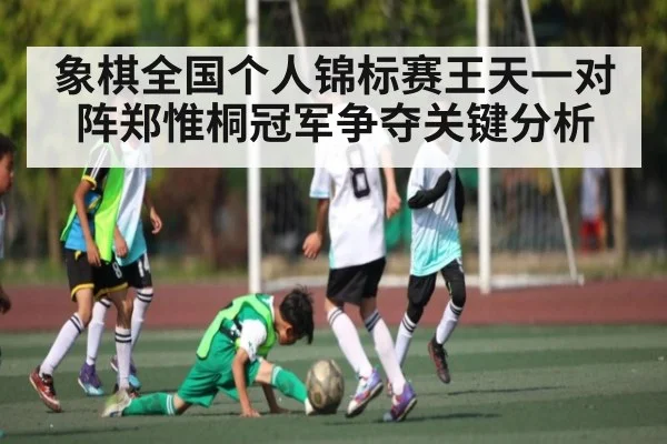 象棋全国个人锦标赛王天一对阵郑惟桐冠军争夺关键分析